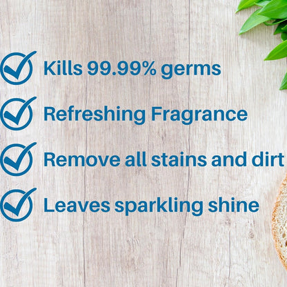 Multi - Purpose Floor Cleaner Lemon Fresh 100 ml